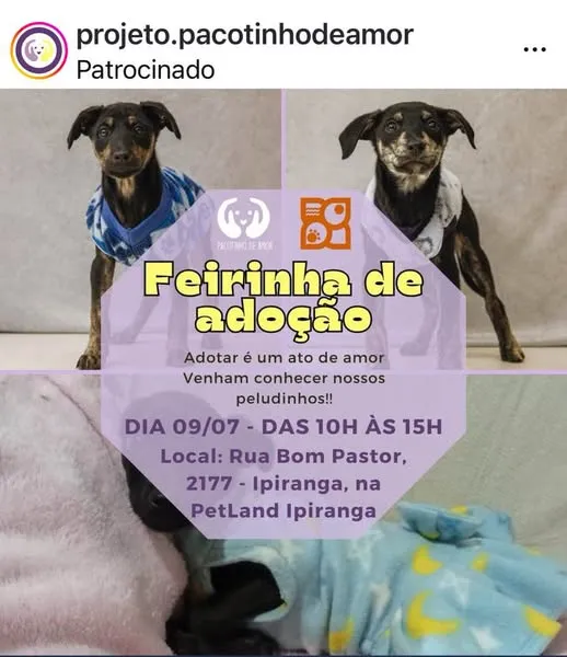 Participe da Feirinha de Adoção no Ipiranga, São Paulo. Dia 09/07, das 10h às 15h. Venha conhecer nossos peludinhos e adotar com amor!