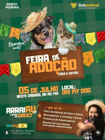 Feira de Adoção de Cães e Gatos na Oh! My Dog com ArraiAU e Niver da Greici