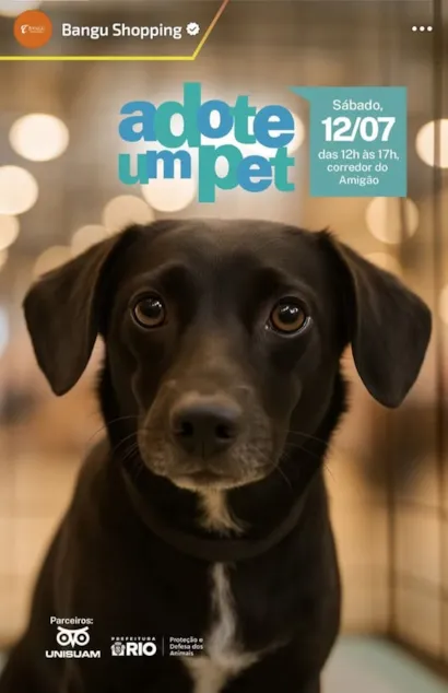 Feira de Adoção "Adote um Pet" no Bangu Shopping