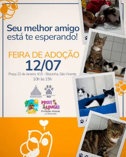 Encontre Seu Melhor Amigo na Feira de Adoção