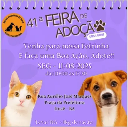 41ª Feira de Adoção de Cães e Gatos