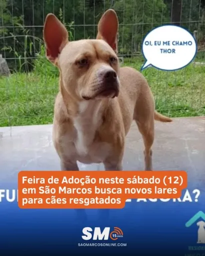 "Encontre um Novo Amigo na Feira de Adoção em São Marcos"