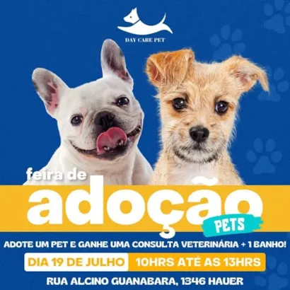 Feira de Adoção de Pets em Curitiba