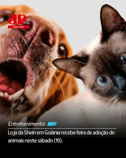 Feira de Adoção de Animais na Shein em Goiânia