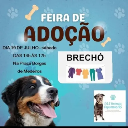 Feira de Adoção e Brechó em Espumoso