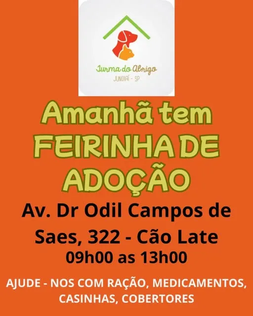 Participe da Feirinha de Adoção em Jundiaí neste mês! Traga sua solidariedade e venha conhecer nossos animais que procuram um lar.