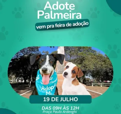 Feira de Adoção "Adote Palmeira"
