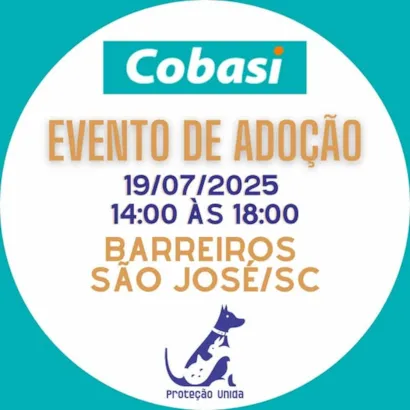 Evento de Adoção de Animais em São José