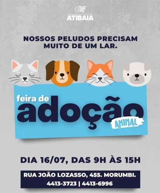 Venha para a feira de adoção em Atibaia no dia 16/07 e dê um lar para um peludo. Evento das 9h às 15h na Rua João Lozasso, 455.