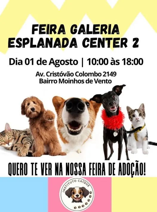 Junte-se a nós na Feira de Adoção no Esplanada Center 2 em Porto Alegre no dia 01 de Agosto. Venha adotar seu novo melhor amigo!