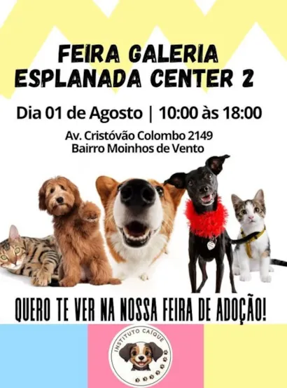 Encontre Um Novo Amigo na Feira de Adoção Esplanada Center 2