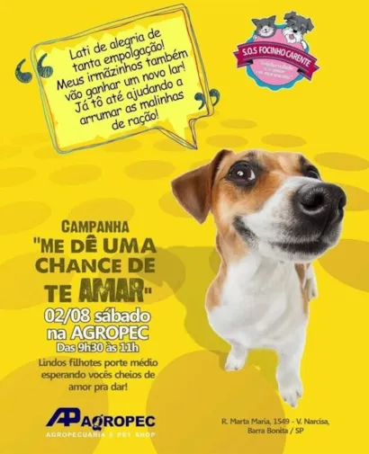 Campanha "Me Dê Uma Chance de Te Amar"