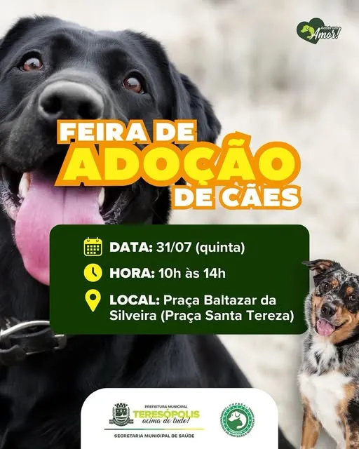 Feira de Adoção de Cães - Encontre seu Novo Amigo!