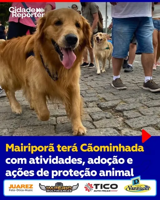 "Junte-se a nós na Cãominhada de Mairiporã em 2025 para um dia cheio de atividades, adoção de animais e ações de proteção. Venha fazer a diferença!"