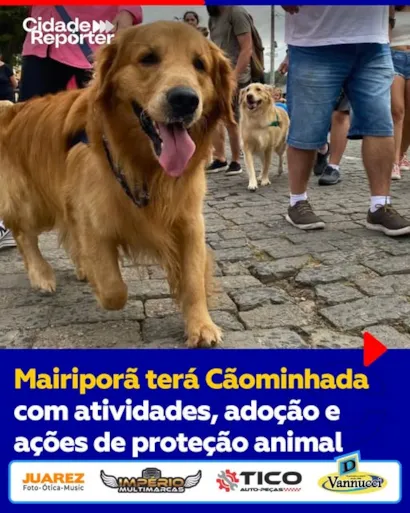 "Cãominhada de Mairiporã: Um Dia de Adoção e Proteção Animal"