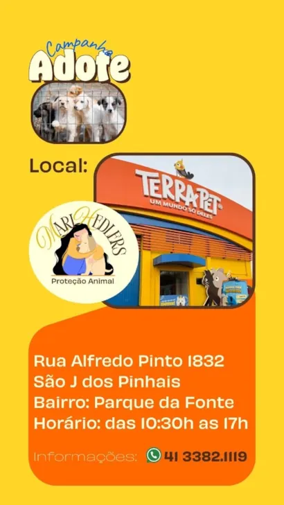 Feira de Adoção de Animais em São José dos Pinhais