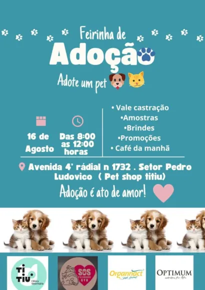 Participe da Feirinha de Adoção e Encontre Seu Novo Amigo!