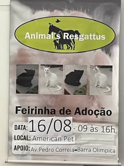 Encontre seu Novo Melhor Amigo na Feira de Adoção
