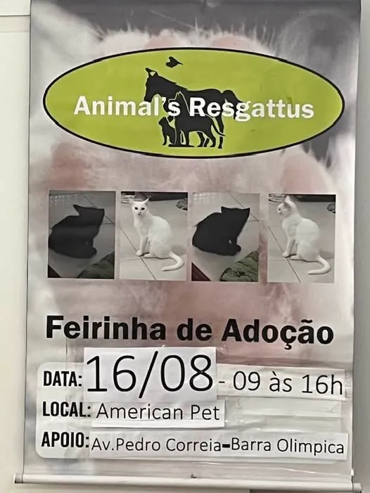 Venha participar da Feirinha de Adoção da Animal's Resgattus no Rio de Janeiro em 16 de agosto de 2025. Encontre seu novo amigo!