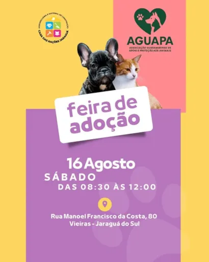 Feira de Adoção em Jaraguá do Sul