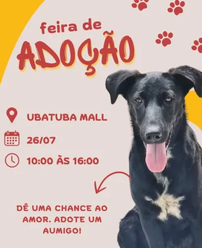 Feira de Adoção de Animais no Ubatuba Mall