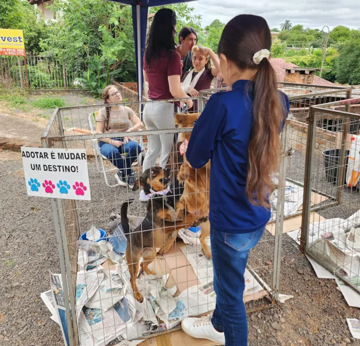 Ijuí realiza feiras de adoção de animais mensalmente!  A Coordenadoria de Proteção Animal (CPA) promove castração, microchipagem e outras ações de bem-estar animal. Descubra como adotar!