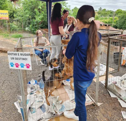 Feiras de Adoção de Animais em Ijuí