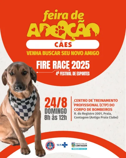 Feira de Adoção de Cães em Contagem