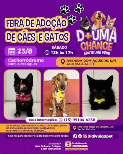 Feira de adoção de cães e gatos do Canil Municipal ocorrerá no Parque das Águas neste sábado (23)