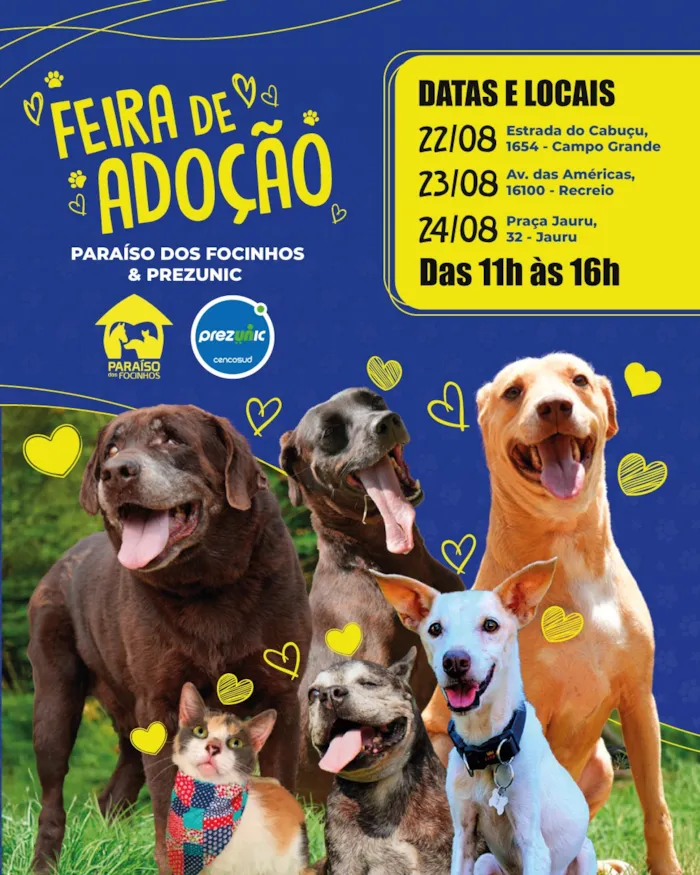 Feira de adoção de animais no Rio de Janeiro! 3 dias de evento com o Paraíso dos Focinhos e Prezunic. Encontre seu novo melhor amigo! Doações também serão aceitas.