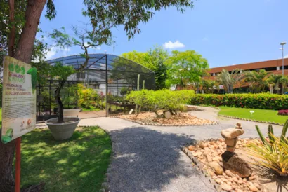 Shopping Guararapes recebe feira de adoção responsável com serviços gratuitos para cães este fim de semana