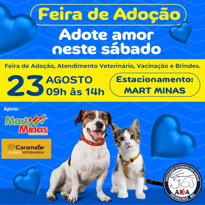 Feira de adoção de animais em Patrocínio-MG, dia 23/08/2025, das 9h às 14h no estacionamento do Mart Minas. Adoção, atendimento veterinário, brindes e diversão!