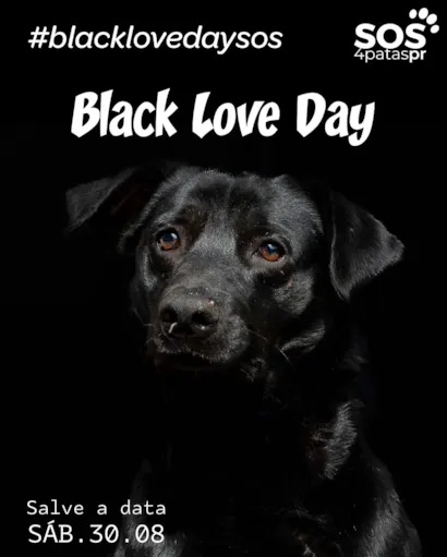 Black Love Day: Feira de Adoção de Cães Pretos