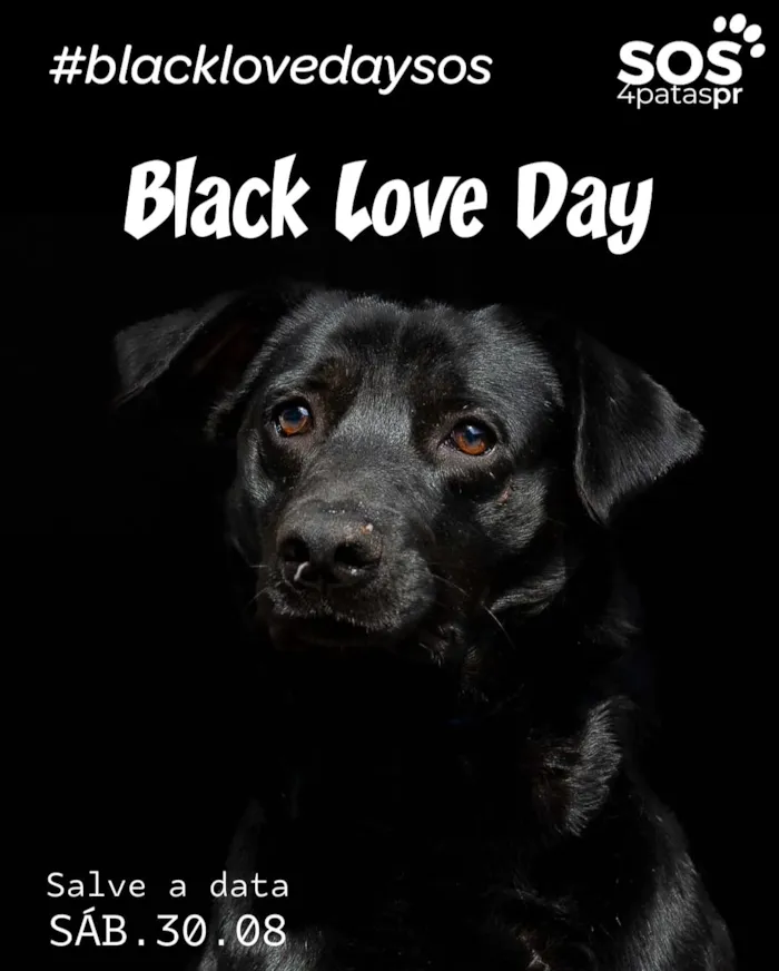Adoção de cães pretos! Dia 30/08, no Balaroti do Barigui (Curitiba, PR), das 10h às 15h. Ajude a encontrar um lar para esses animais especiais! #BlackLoveDaysos #AdoçãoResponsável