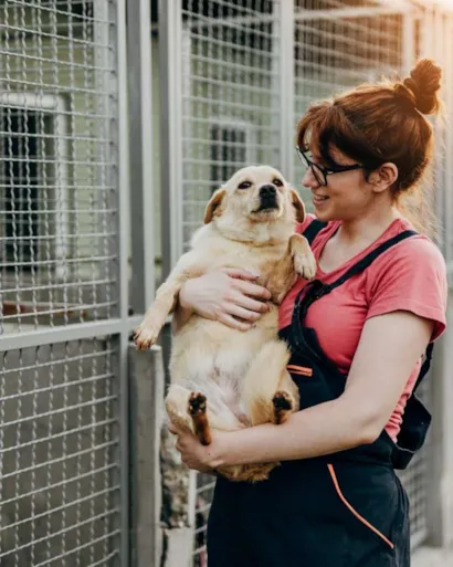 Feira Me Adota oferece mais de 140 cães e gatos para adoção em Porto Alegre neste sábado