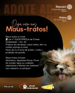Rotaract Club de Mandaguari-Família promove feira de adoção de pets e conscientização