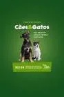 Adoção de cães e gatos no BarraShopping dia 30/08, das 12h às 17h.  Parceria com ONG Indefesos e Città Vet. Animais vacinados e castrados (adultos).