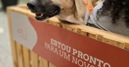 Festival Moto Brasil 2025 reforça causa animal com a ONG Entre Pegadas no Espaço Pet