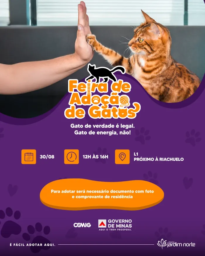 Feira de adoção de gatos no Shopping Jardim Norte (Juiz de Fora, MG) no dia 30/08/2025, das 12h às 16h.  Ação da Cemig e Governo de Minas em prol da adoção responsável e combate ao furto de energia.
