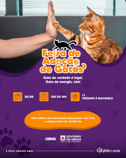 Feira de Adoção de Gatos no Shopping Jardim Norte