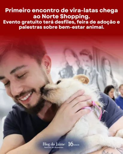 Primeiro Encontro de Vira-Latas: Feira de Adoção de Animais Idosos