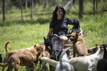Feira de Adoção de Cães no Shopping Iguatemi