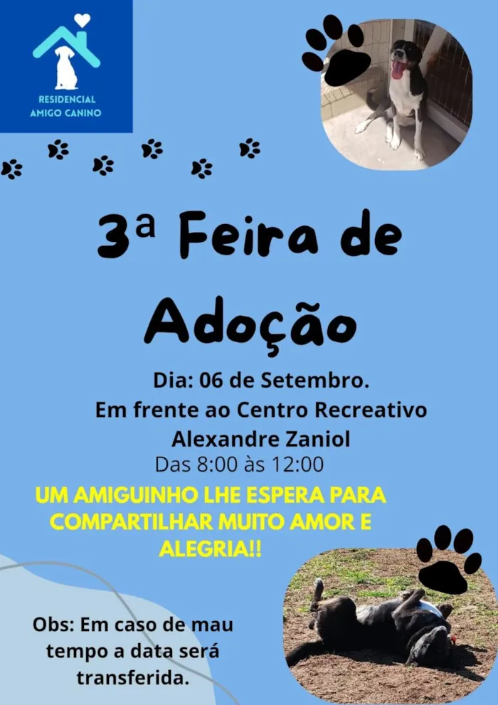 3ª Feira de Adoção de Animais do Residencial Amigo Canino em São Marcos, RS, dia 06/09/2025, das 8h às 12h. Ajude a encontrar um lar para um cão!