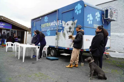 Feira de Adoção de Animais - Adote com Amor