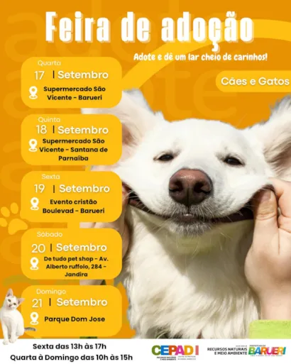 Feira de Adoção CEPAD