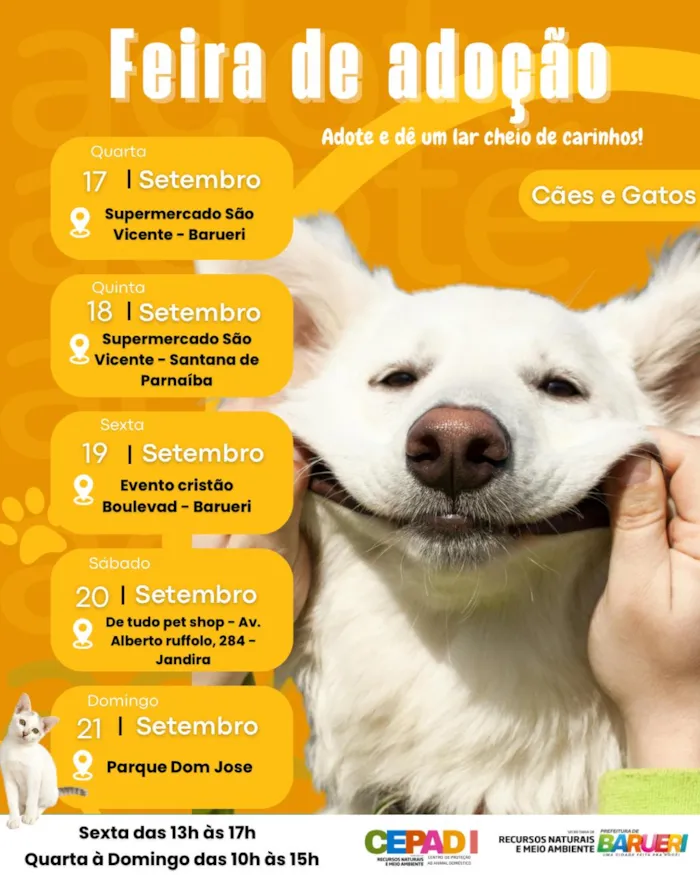 Feira de adoção de cães e gatos do CEPAD em Barueri e região! Encontre seu novo amigo. Pets vacinados e castrados.  17 a 21 de setembro.
