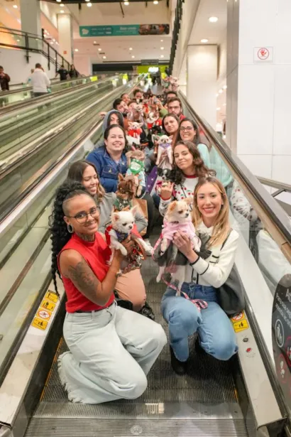 Fim de Semana Pet no Butantã Shopping: Feira de Adoção e Encontro de Chihuahuas