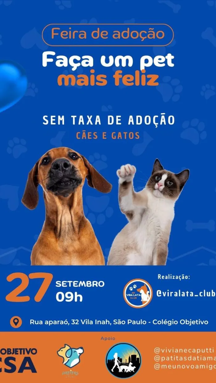 Feira de adoção de cães e gatos em São Paulo! Encontre seu novo melhor amigo. 27/09/2025, 9h, no CSA Objetivo. Animais castrados, vacinados e vermifugados. Sem taxa de adoção!