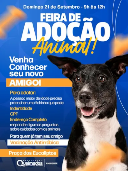 Feira de Adoção de Animais