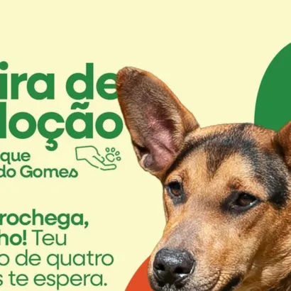 Feira de Adoção de Animais no Parque Eduardo Gomes